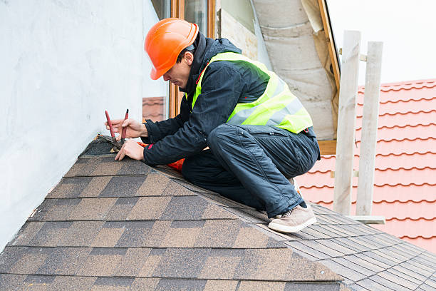 Best Roof Gutter Cleaning  in Rialto, CA